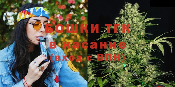 шишки Арсеньев