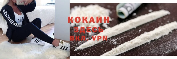 шишки Арсеньев