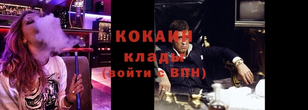 ГАЛЛЮЦИНОГЕННЫЕ ГРИБЫ Аркадак