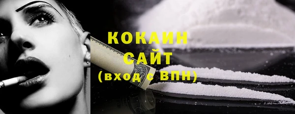 ГАЛЛЮЦИНОГЕННЫЕ ГРИБЫ Аркадак