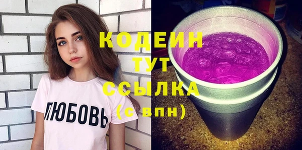 шишки Арсеньев