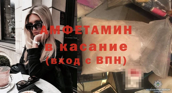 ГАЛЛЮЦИНОГЕННЫЕ ГРИБЫ Аркадак