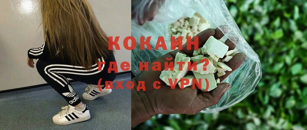 шишки Арсеньев