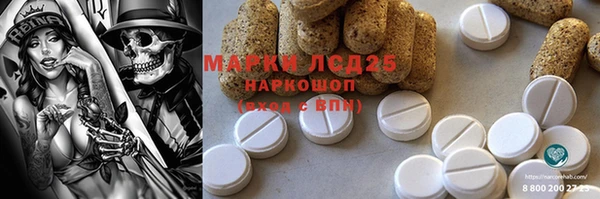 шишки Арсеньев