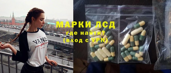 шишки Арсеньев