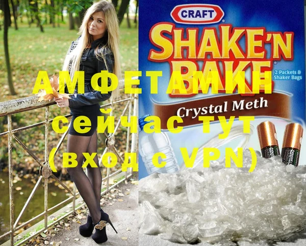 шишки Арсеньев
