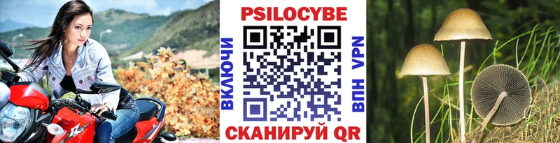 дарк нет наркотические препараты  наркотики  Семёнов  Галлюциногенные грибы Psilocybe 